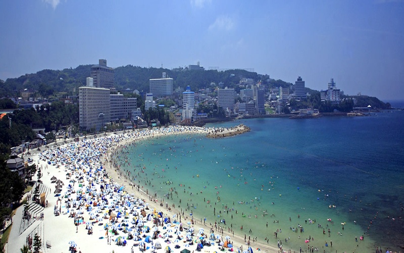 Wakayama – Vẻ đẹp hoang sơ